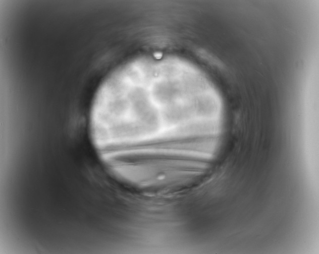 X0000088131302200706041311