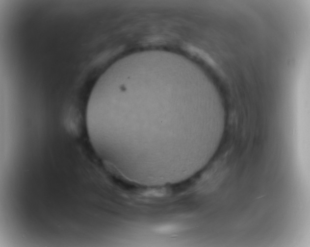 X0000088131303200706041312