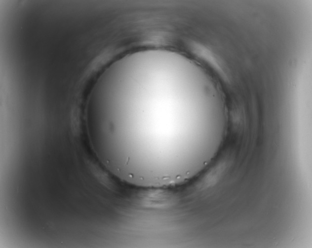 X0000088131304200706041312