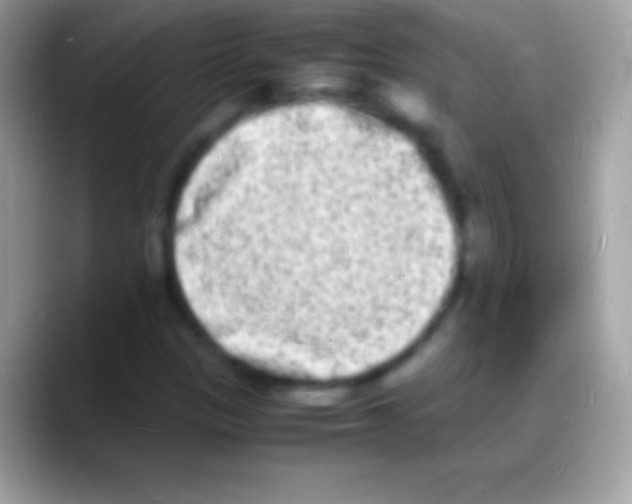 X0000088131305200706041312