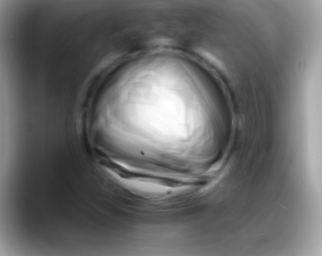 X0000088131309200706041312