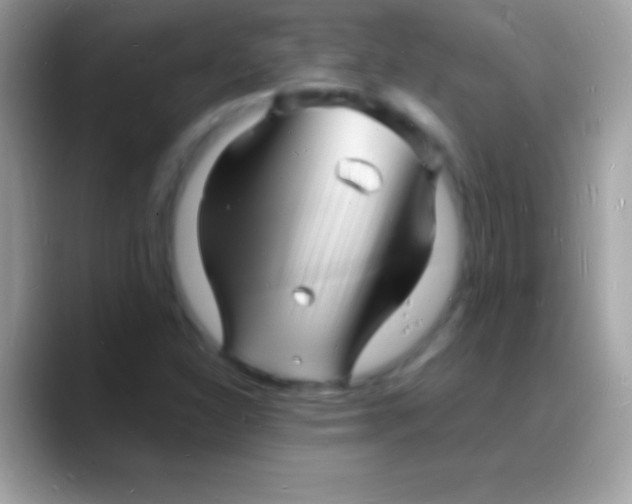 X0000088131310200706041312