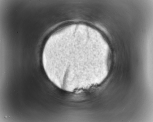 X0000088131311200706041312