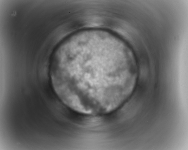 X0000088131314200706041312