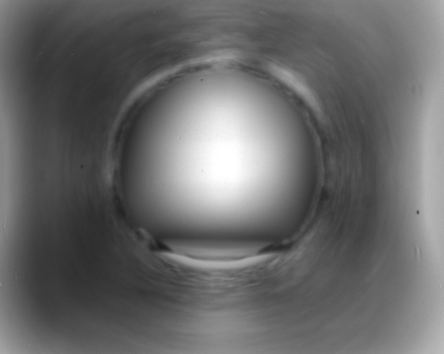 X0000088131316200706041312