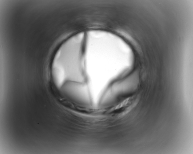 X0000088131317200706041312