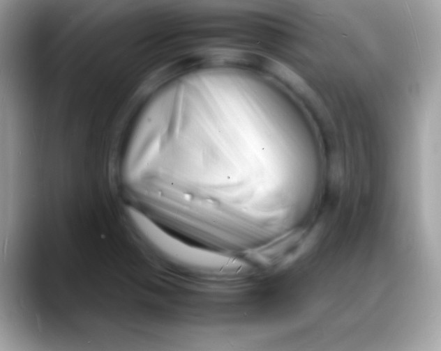 X0000088131321200706041312