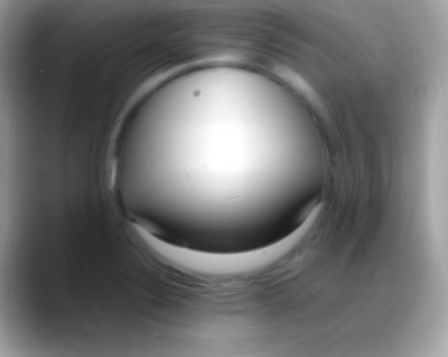 X0000088131324200706041312