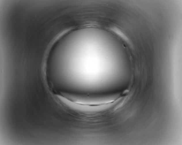 X0000088131325200706041312