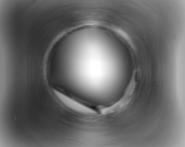 X0000088131326200706041312