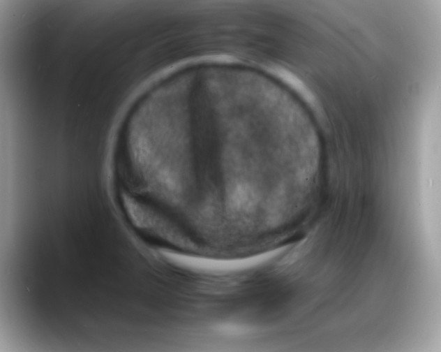 X0000088131327200706041312