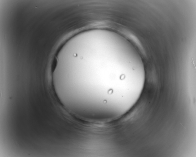 X0000088131328200706041312