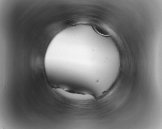 X0000088131329200706041312