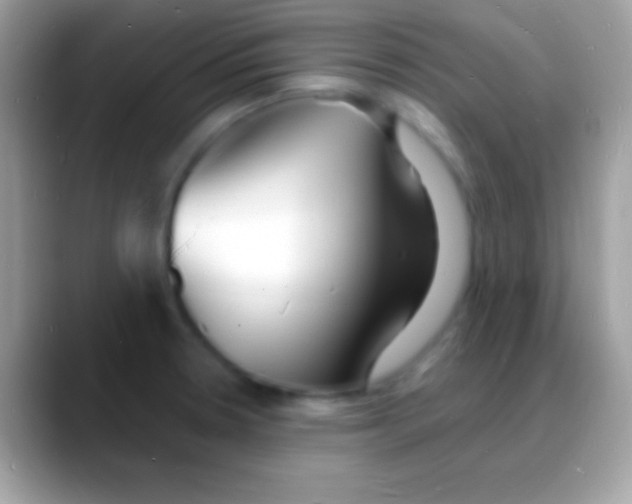 X0000088131330200706041312