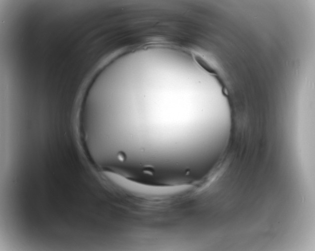 X0000088131333200706041312