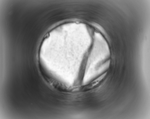 X0000088131335200706041312