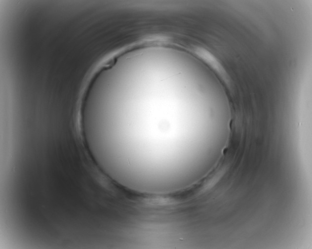 X0000088131336200706041312