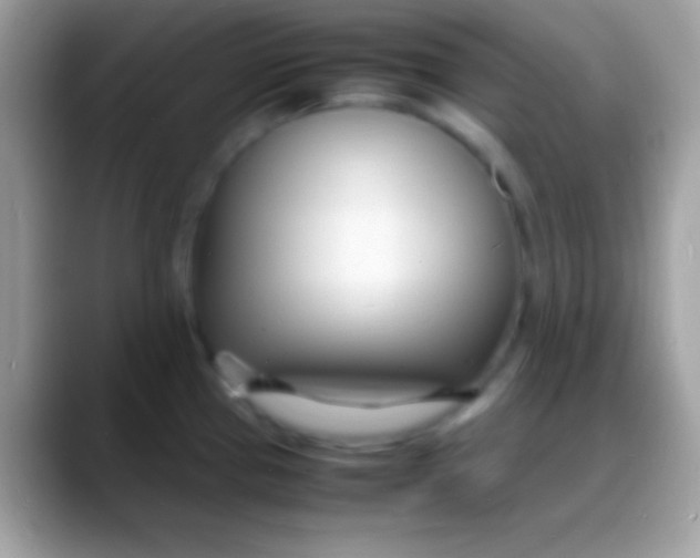 X0000088131337200706041312