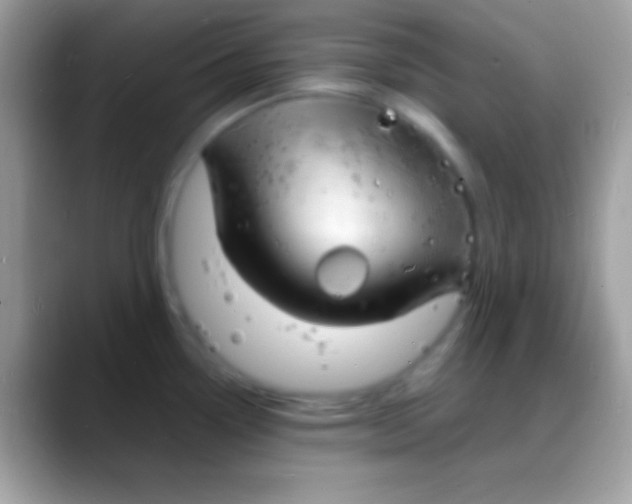 X0000088131338200706041312