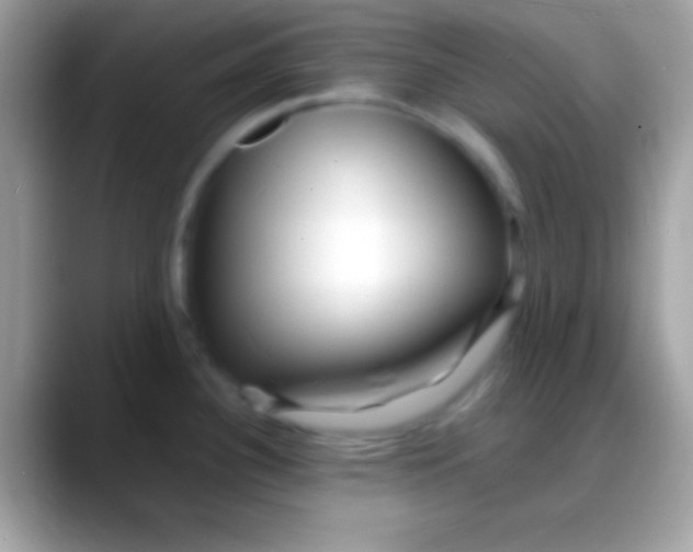 X0000088131340200706041312