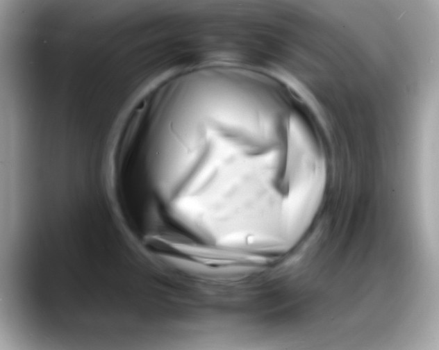 X0000088131341200706041312