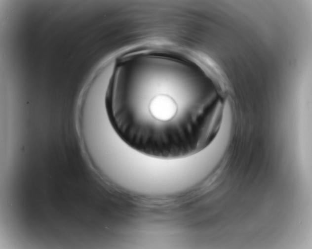 X0000088131342200706041312