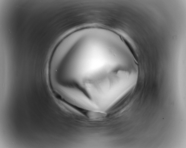 X0000088131343200706041312