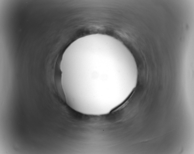 X0000088131345200706041311