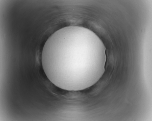 X0000088131346200706041311