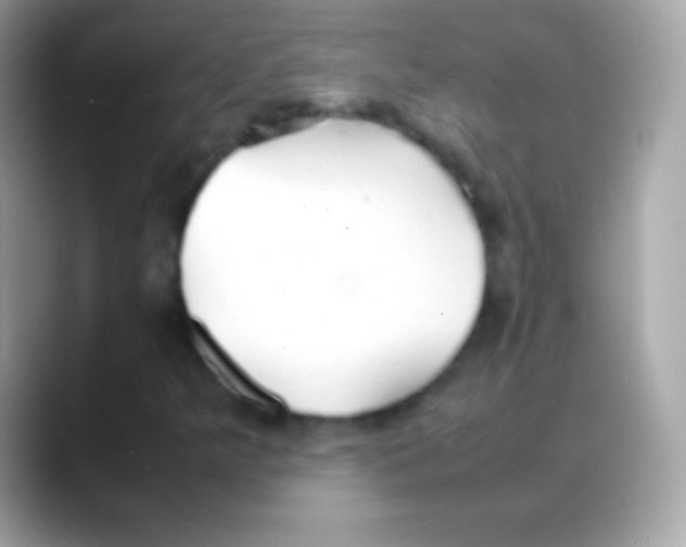 X0000088131349200706041311