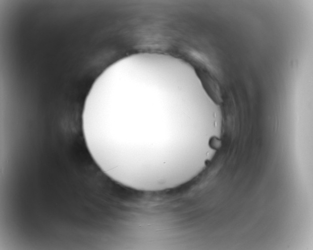 X0000088131350200706041311