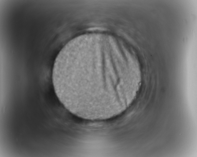 X0000088131351200706041311