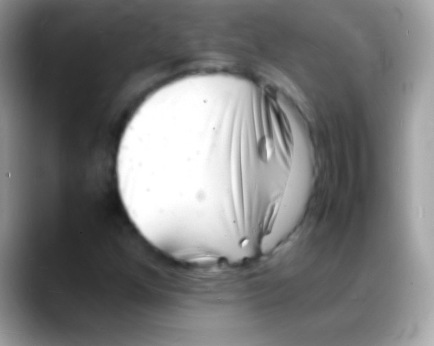 X0000088131352200706041311