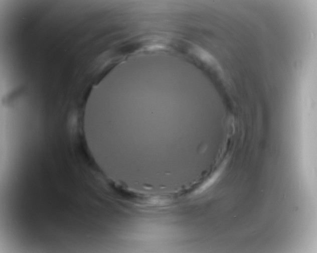 X0000088131353200706041311