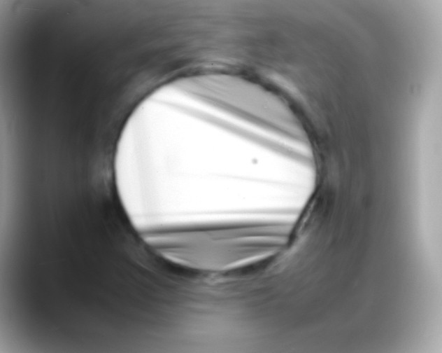 X0000088131355200706041311