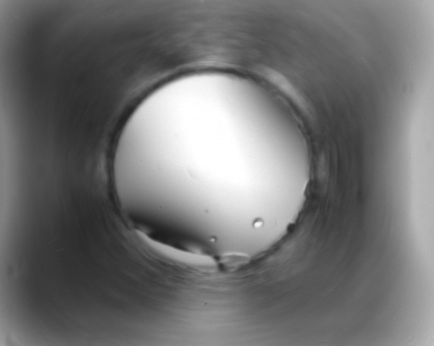 X0000088131356200706041311