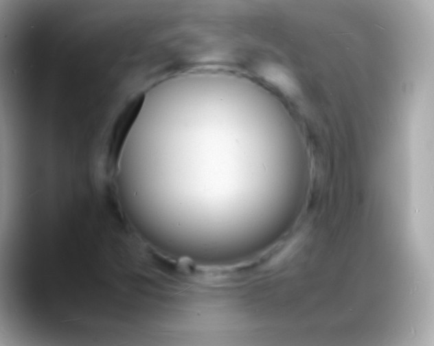 X0000088131357200706041311