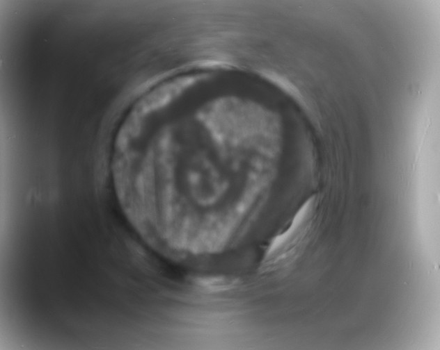 X0000088131359200706041311