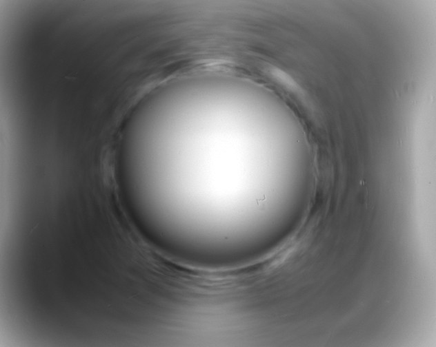 X0000088131361200706041311