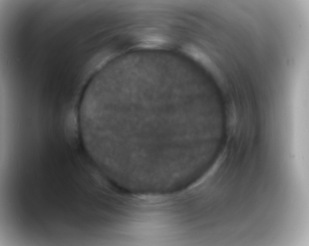 X0000088131362200706041311