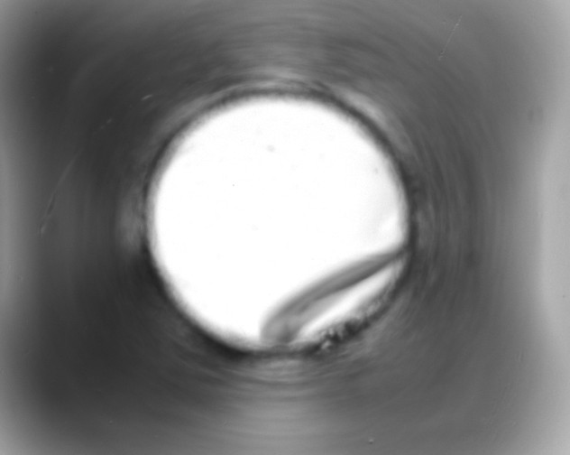 X0000088131363200706041311