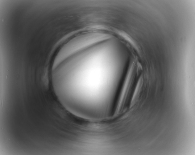 X0000088131364200706041311