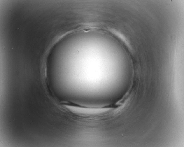 X0000088131365200706041311