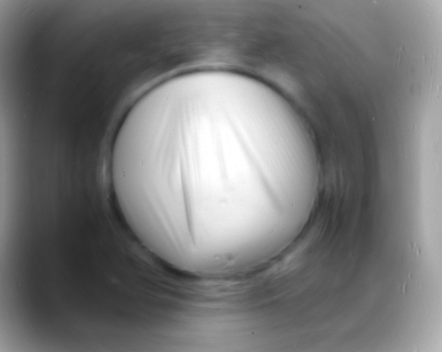 X0000088131366200706041311