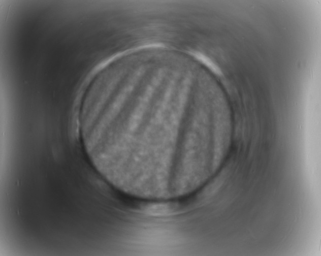 X0000088131367200706041311