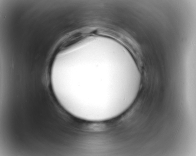 X0000088131368200706041311