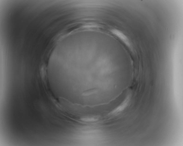 X0000088131369200706041311