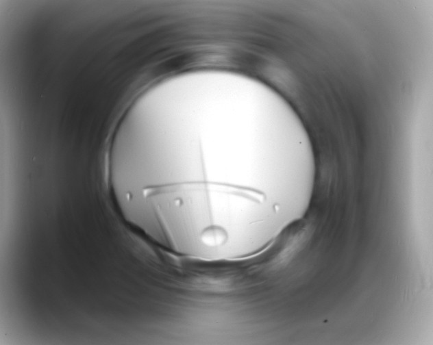 X0000088131370200706041311