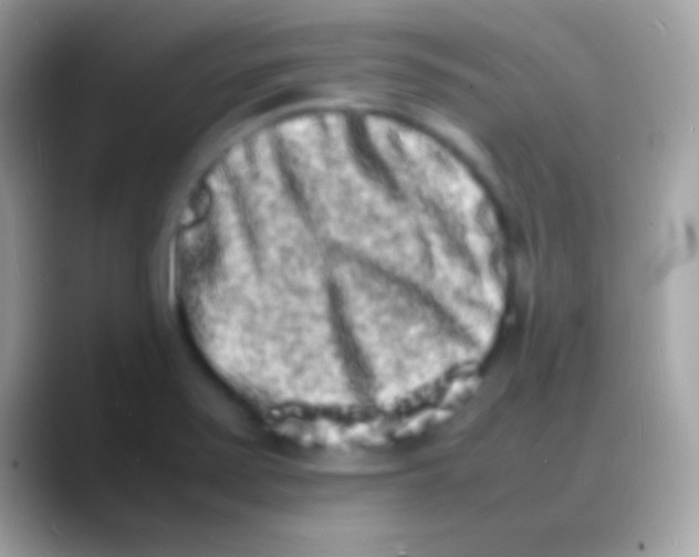 X0000088131371200706041311