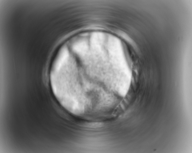 X0000088131372200706041311